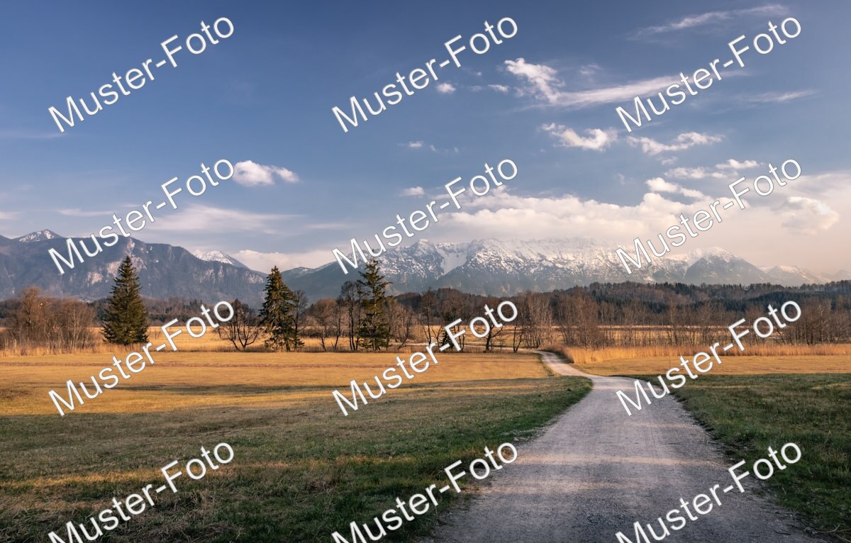 Chiemsee